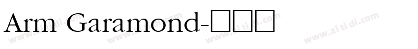 Arm Garamond字体转换